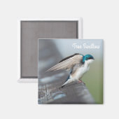 ツノグミのストレッチ マグネット (正面/裏面)