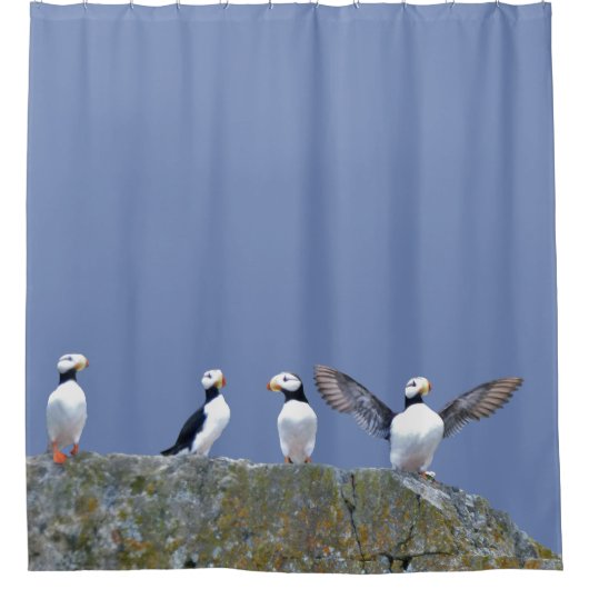 ツノメドリが付いているシャワー・カーテン シャワーカーテン (正面)