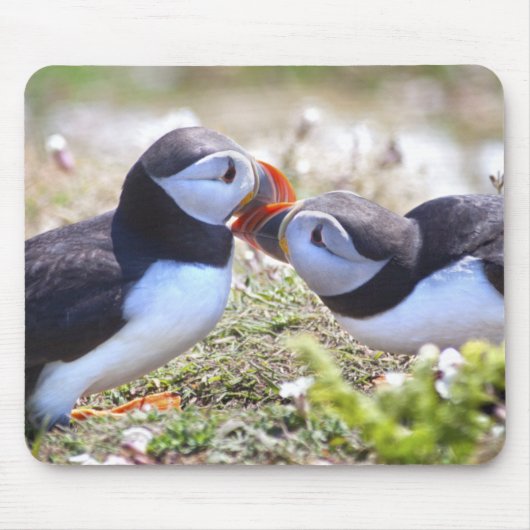 ツノメドリのキス マウスパッド (正面)