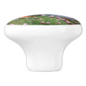 ツノメドリのコースター セラミックノブ (側面)