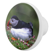 ツノメドリのコースター セラミックノブ (右)