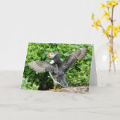 ツノメドリの挨拶状を引き起こします カード (黄色い花)