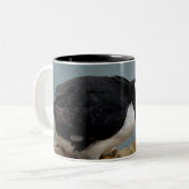 ツノメドリの組のマグ ツートーンマグカップ (正面左)