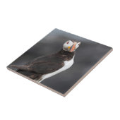 ツノメドリの鳥 タイル (側面)