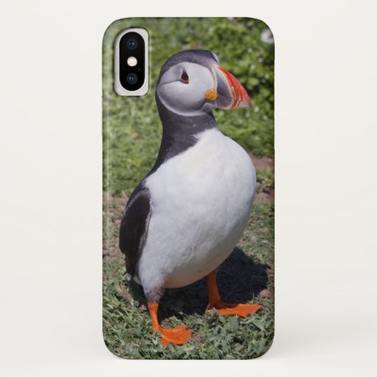 ツノメドリのiPhone Xの場合 Case-Mate iPhoneケース (裏面)