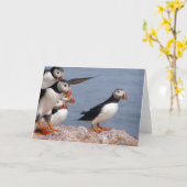 ツノメドリカード カード (黄色い花)