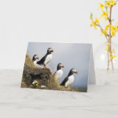 ツノメドリ カード (黄色い花)