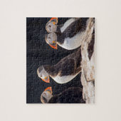 ツノメドリ ジグソーパズル (縦)