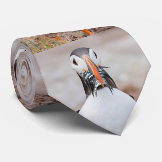 ツノメドリ ネクタイ (ロール)