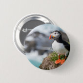 ツノメドリ 缶バッジ (正面&裏面)