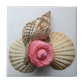 ツバキおよび貝 タイル (正面)