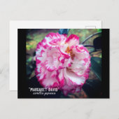 ツバキジャポニカピンクフローラ ポストカード (正面/裏面)