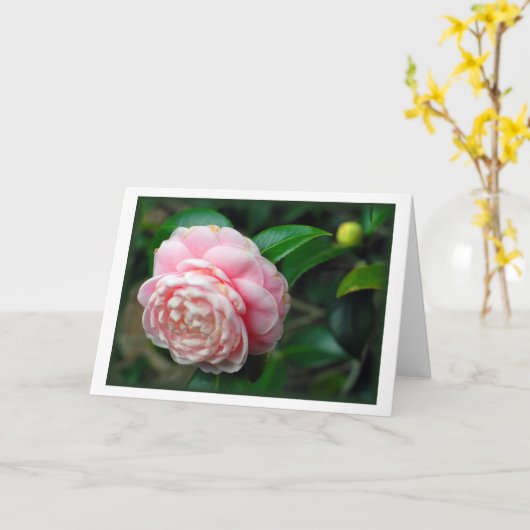 "ツバキ" カード (黄色い花)