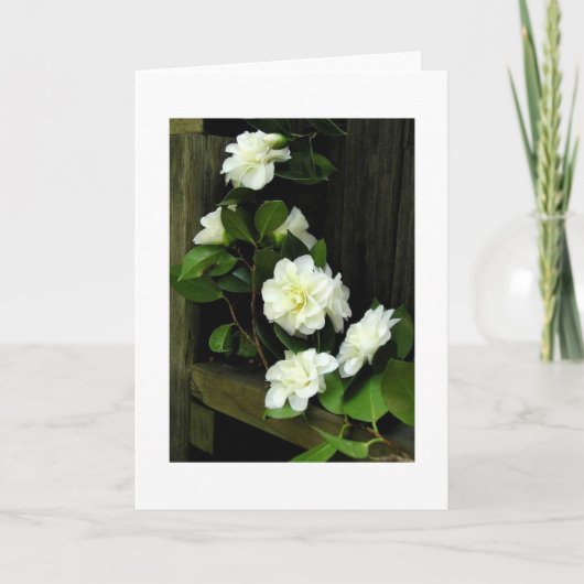 ツバキ カード (正面)