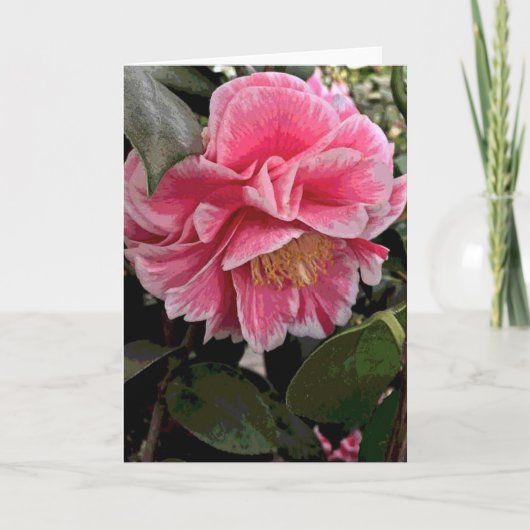 ツバキ カード (正面)