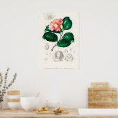 ツバキ ポスター (キッチン)