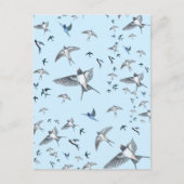 ツバメの飛んでいる群れイラストレーション ポストカード (正面)