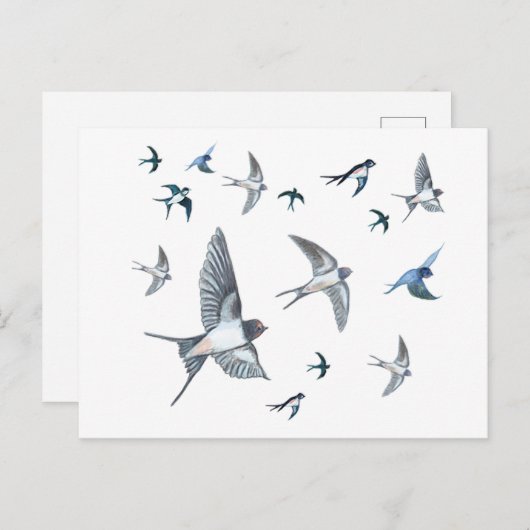 ツバメの飛んでいる群れイラストレーション ポストカード (正面/裏面)
