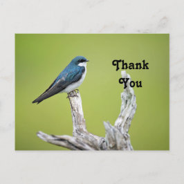 ツバメへの感謝 ポストカード
