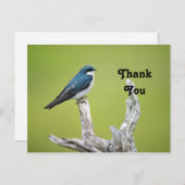 ツバメへの感謝 ポストカード (正面/裏面)