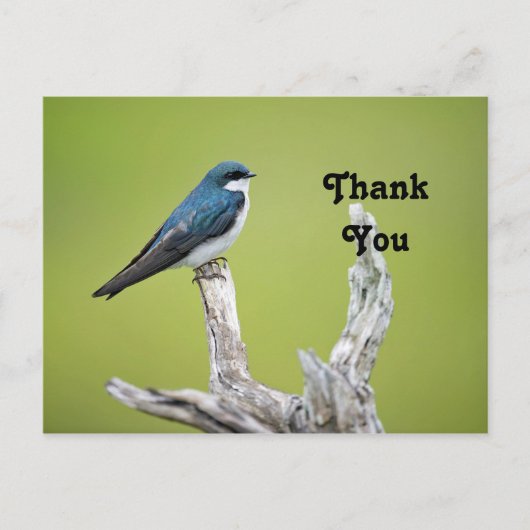 ツバメへの感謝 ポストカード (正面)