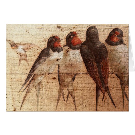 ツバメ (正面横)