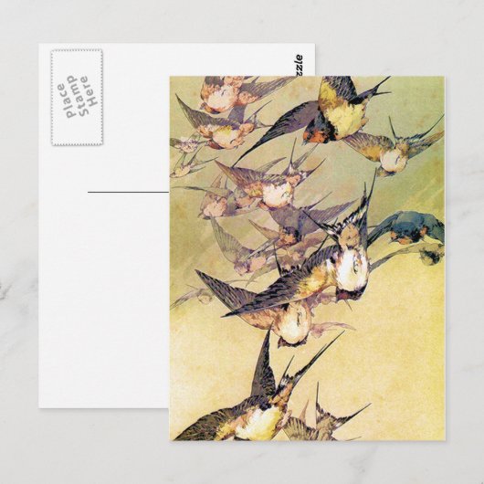 ツバメ ポストカード (正面/裏面)