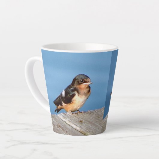 ツバメ ラテマグ (左アングル)