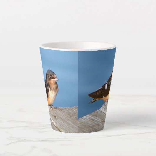 ツバメ ラテマグ (正面)