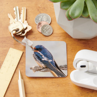 ツバメ、輝く青い歌鳥 キーホルダー