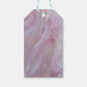 ツベルゼ&ラベンダー開花 ギフトタグ (裏面)