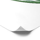 ツベルースの最高級植物性プリント ポスター (角)