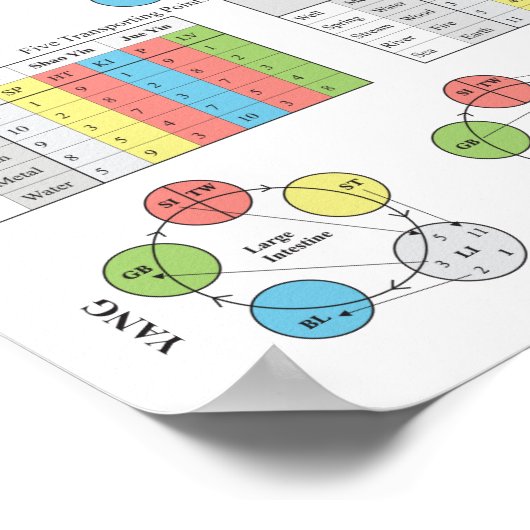 ツボ図5要素 ポスター (角)