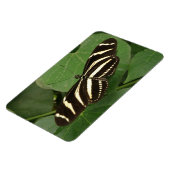 ツマミの長いマグネット マグネット (左側)