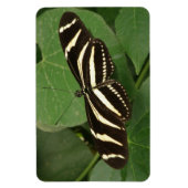 ツマミの長いマグネット マグネット (縦)