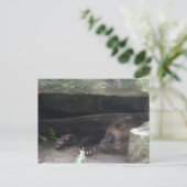 ツメが見える二重露出の狼の休息 ポストカード (スタンド正面)