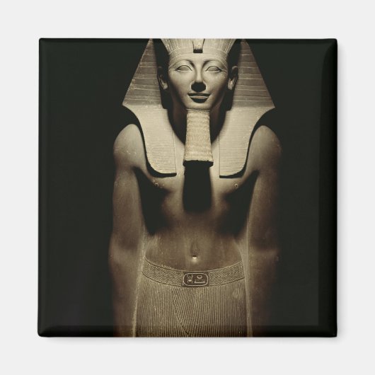 ツモシスIII マグネット (正面)