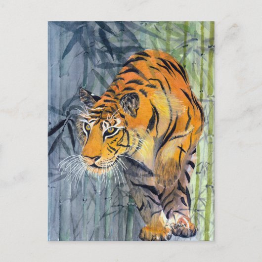 ツヤコタイガー ポストカード (正面)