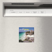 ツラム磁石 マグネット (インサイチュ (食洗機))