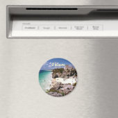 ツラム磁石 マグネット (インサイチュ (食洗機))