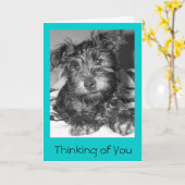 ツリオ カード (黄色い花)