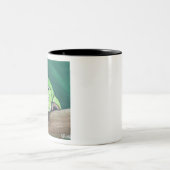 ツリガエル絵画ズ ツートーンマグカップ (中央)