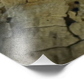 ツリツバメ フォトプリント            (角)