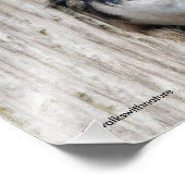 ツリツバメ、新しいネストボックスオーナー フォトプリント (角)