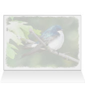 ツリツバメ – 5" x 7"アートカード (内部横(上))