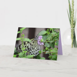 ツリニンフ カード