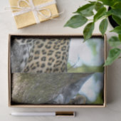 ツリヒョウティッシュペーパー 薄葉紙 (ギフト)