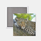 ツリョウ磁石 マグネット (正面/裏面)