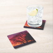 ツリーとサンセットコースター スクエアペーパーコースター (インサイチュ)