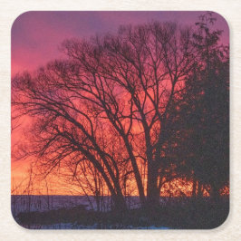 ツリーとサンセットコースター スクエアペーパーコースター